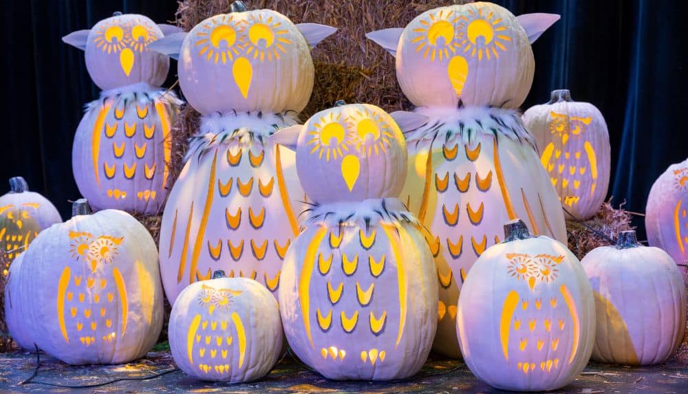 Must-Do Fall Festivals and Events in Pigeon Forge, TN