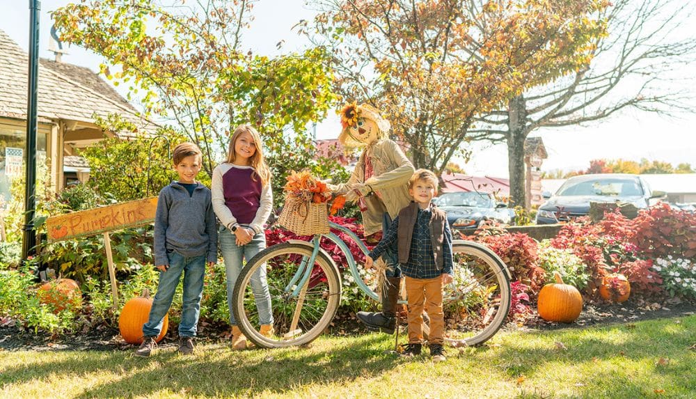 Top 5 Things to Do This Fall in Pigeon Tennessee