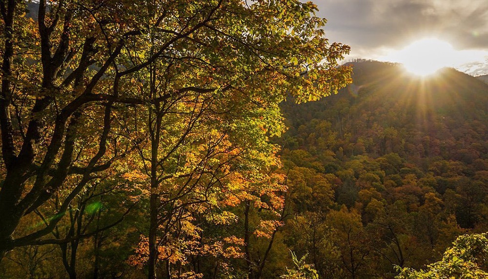 Smoky Mountains fall foliage