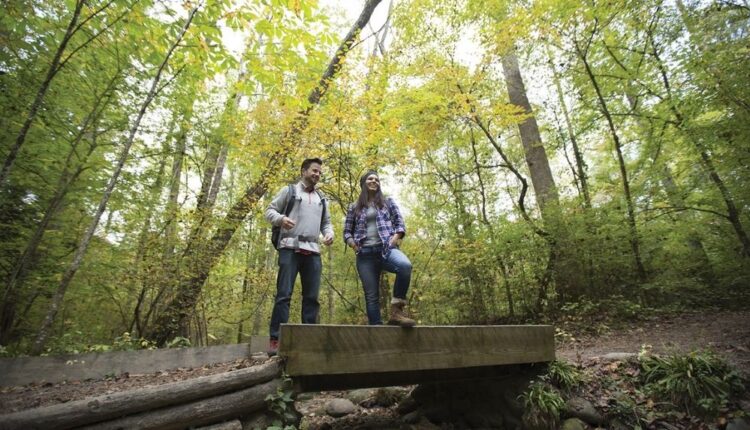 Winter hikes in Great Smoky Mountains National Park