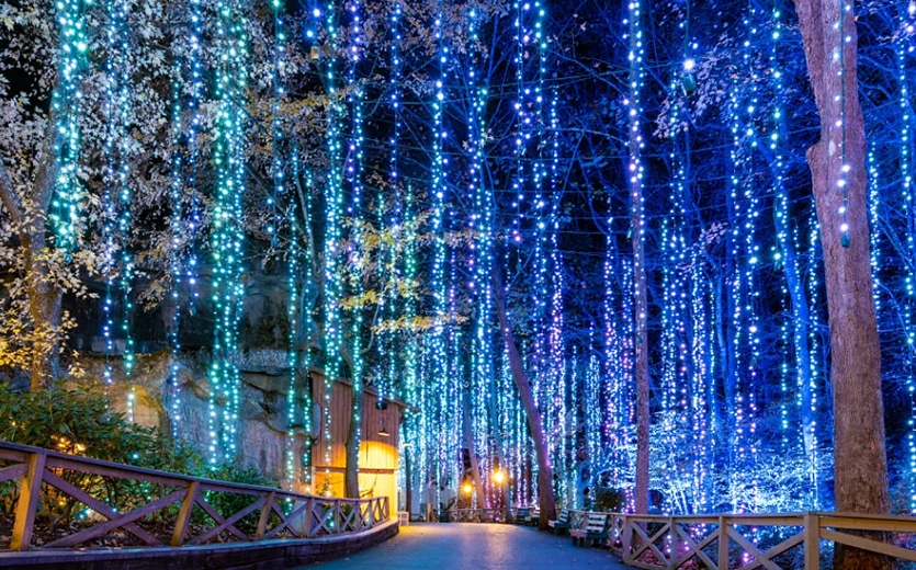 Dollywood Northern Lights during the Smoky Mountain Christmas celebration