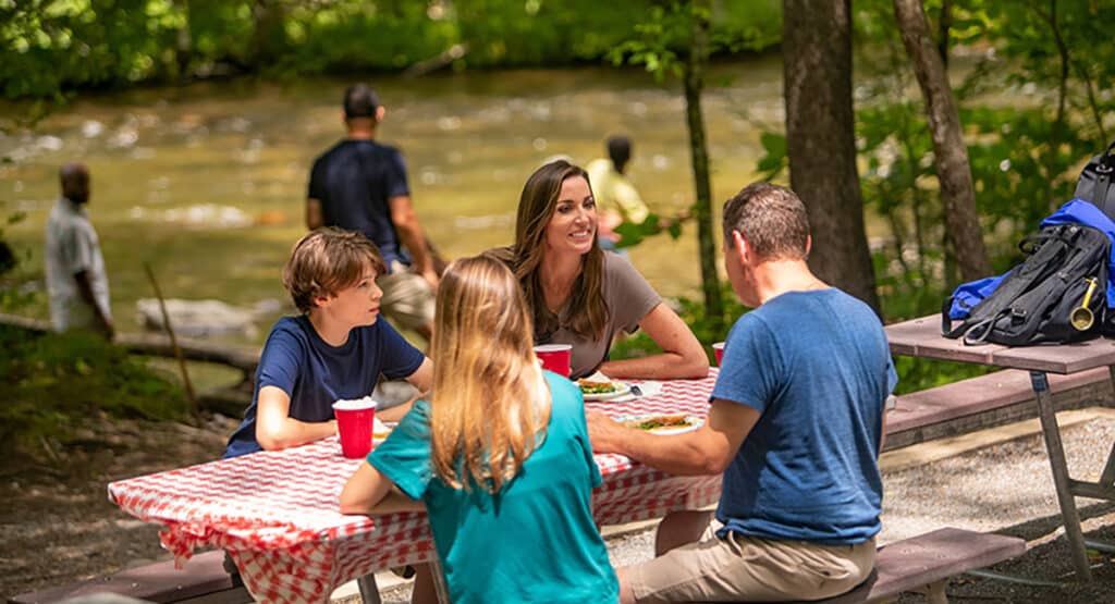 Picnic in Cades Cove