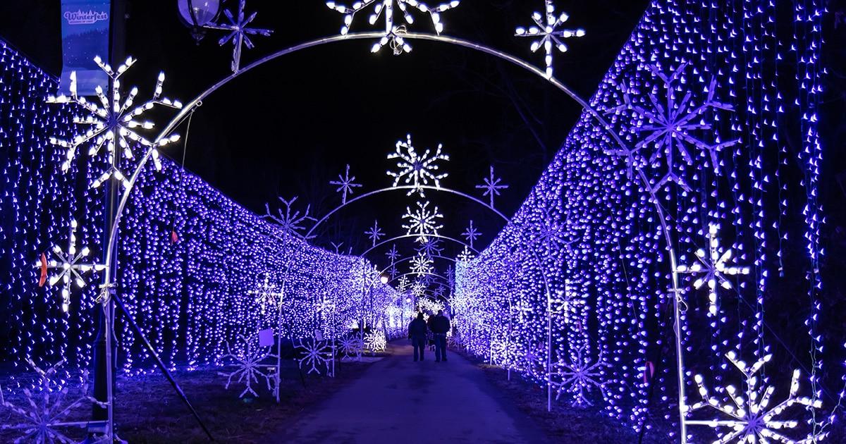 Winterfest Wonders of Light Walking Trail