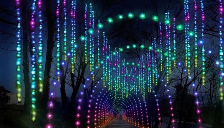 Winterfest Walking Tour drop lights