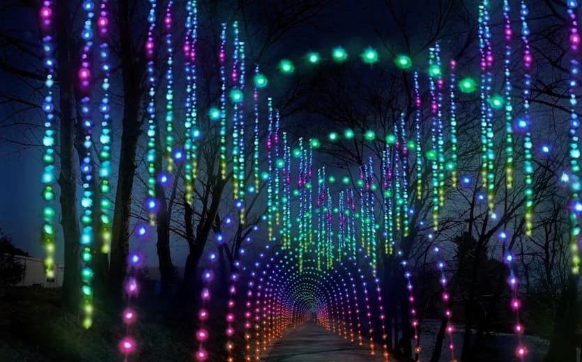 New Winterfest Wonders of Light Walking Trail My Pigeon