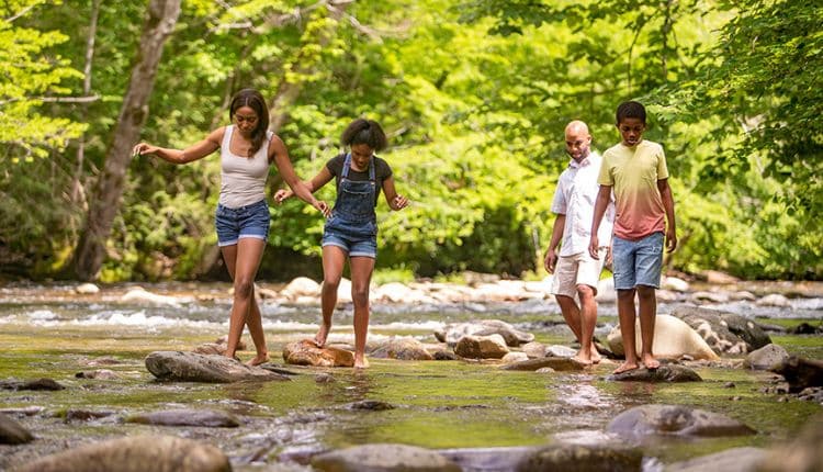 Explore the Smokies during Spring Break