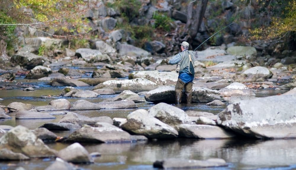 Fishing in the Smoky Mountains