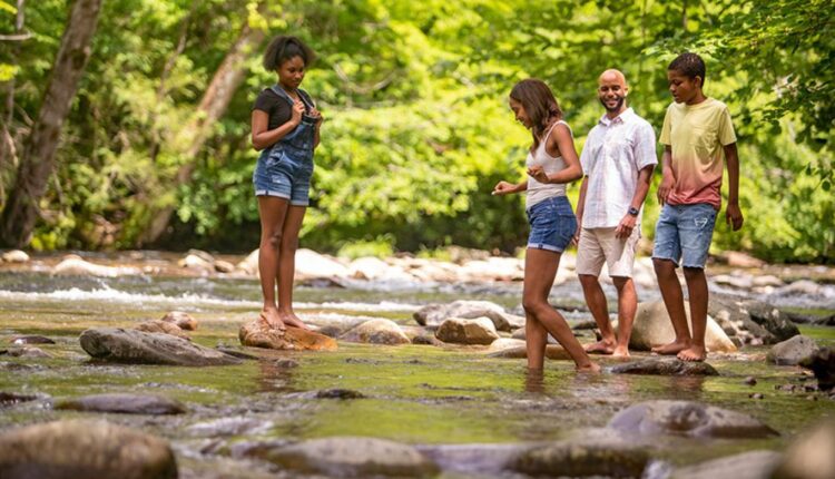 Go on a waterfall hike in Great Smoky Mountains National Park