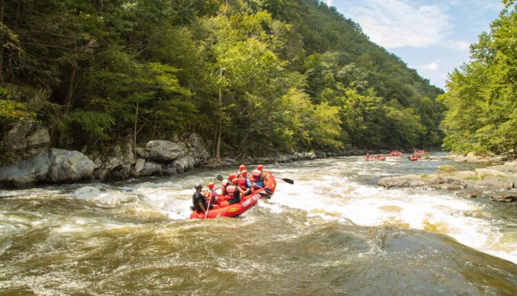 Plan a whitewater rafting adventure