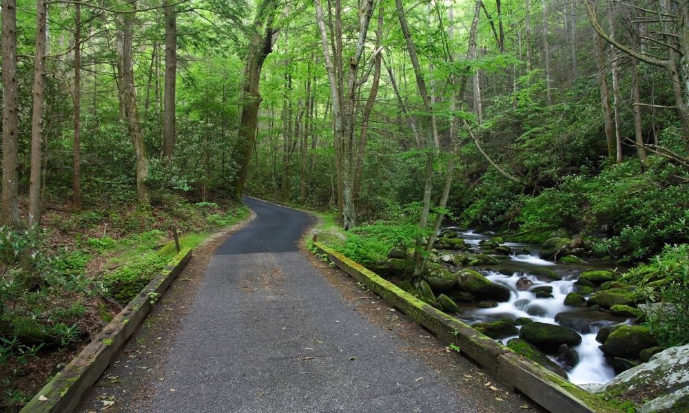 Sugarlands Valley Nature Trail