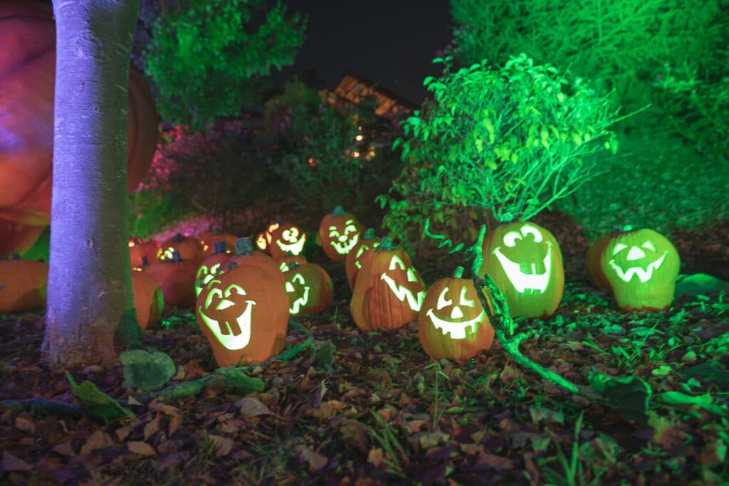 Great Pumpkin LumiNights