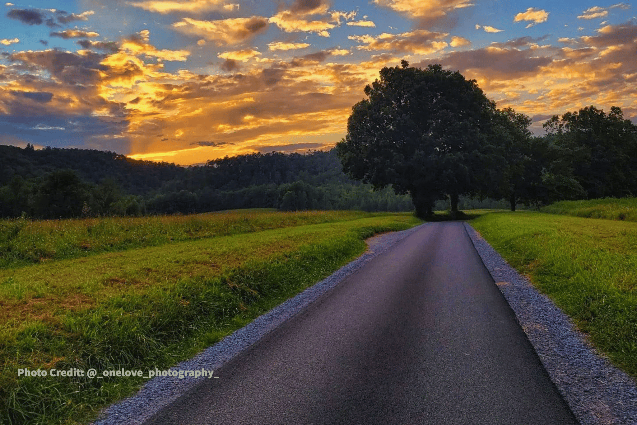 Guide to Scenic Drives Along Cades Cove Loop Road My Pigeon