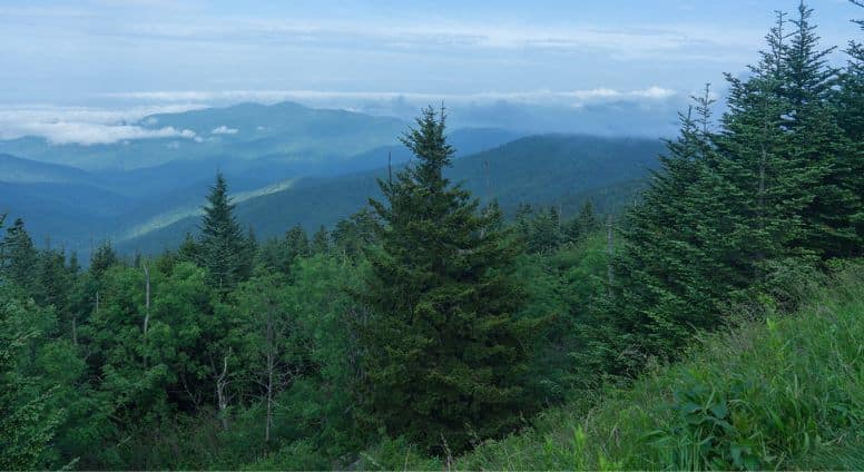 Accessibility in Great Smoky Mountains National Park