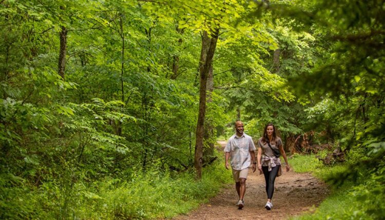 Cades Cove Nature Trail