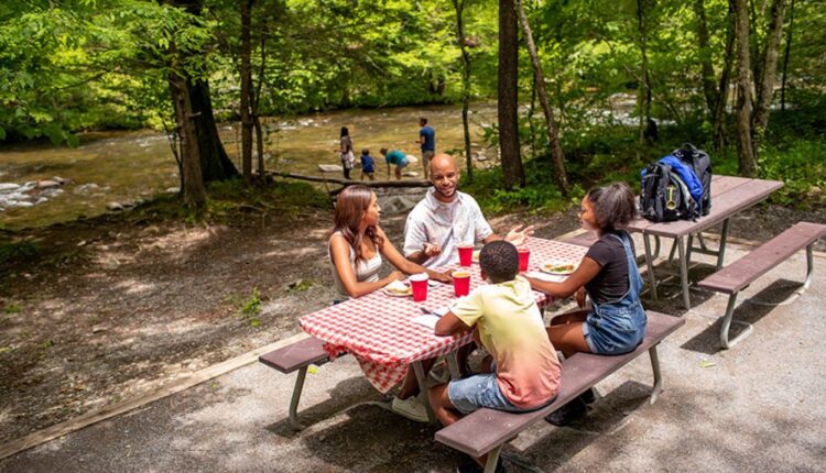 Cades Cove picnic area