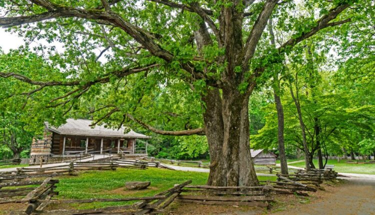 Cades Cove Visitor Center