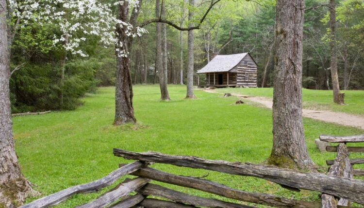 Carter Shields Cabin