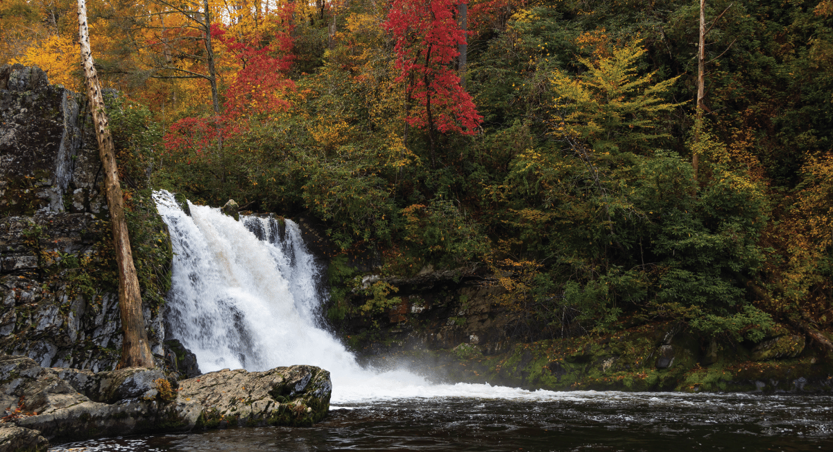 image of waterfall at Abrams Falls