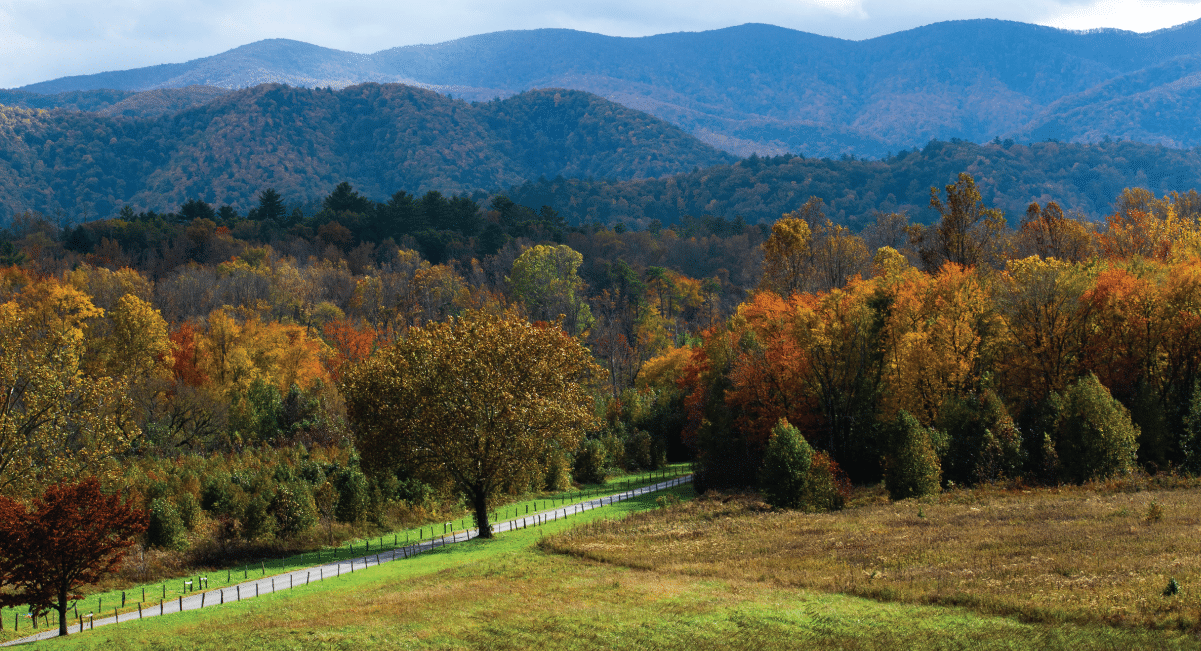 image of cades cove fall foliage 