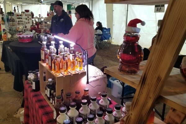 Wonders of Light Christmas Village