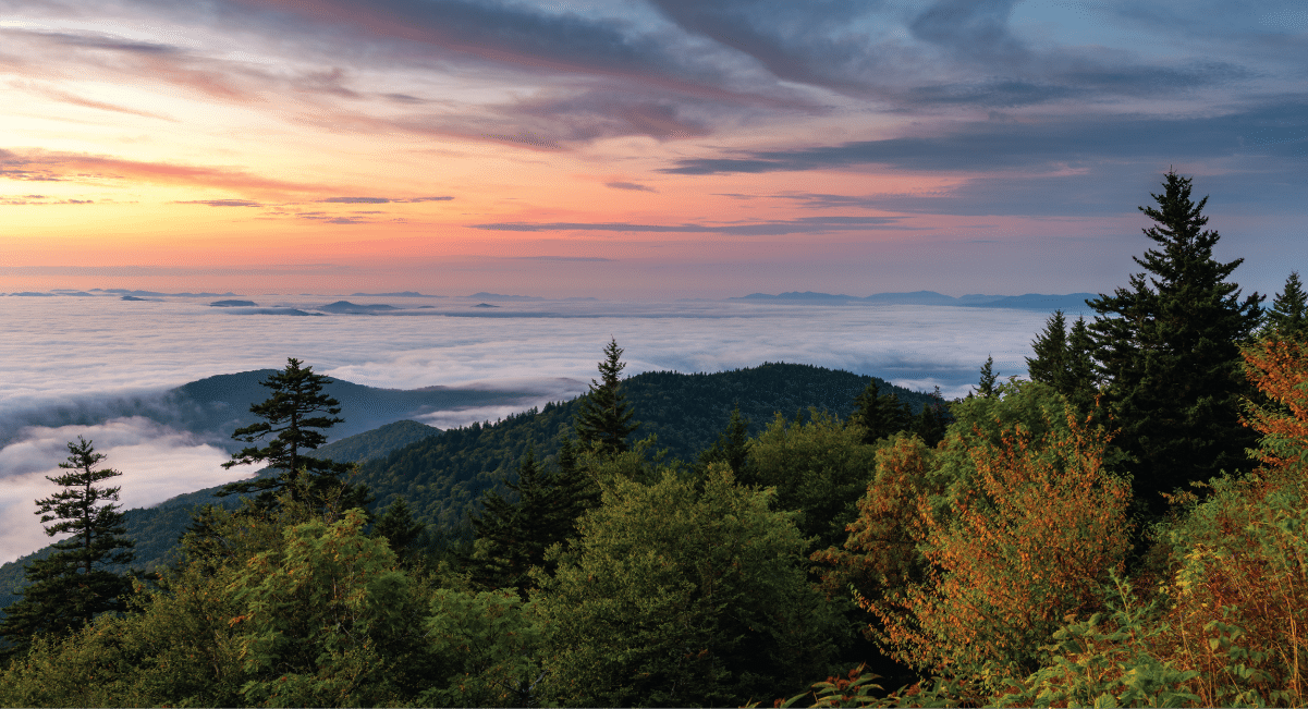 image of kuwohi scenery in the fall
