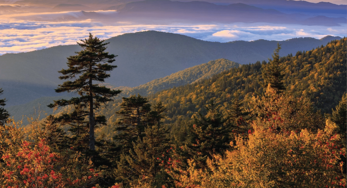 image of fall colors at newfound gap