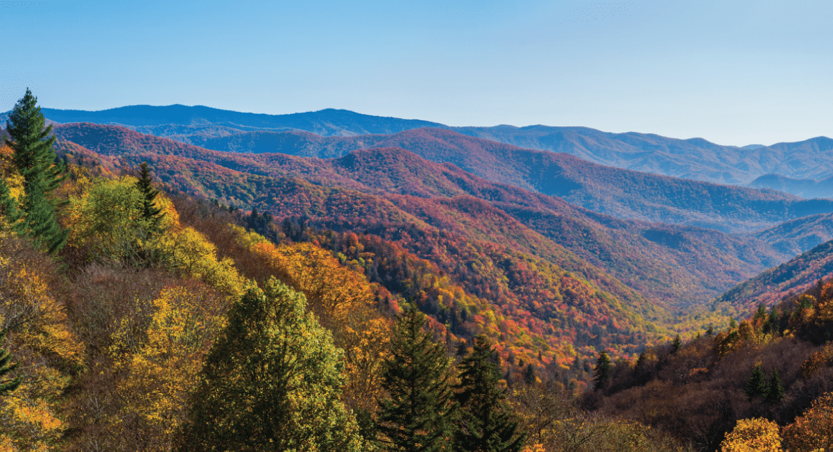 Smoky Mountain Fall Foliage social