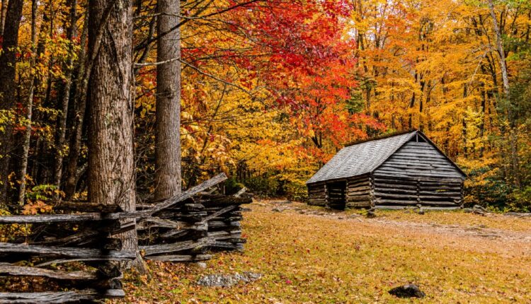 Alex Cole Cabin