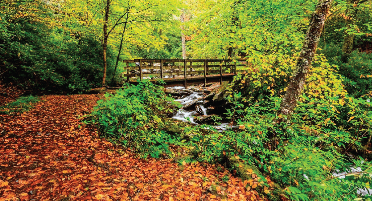 image of chimney tops trail