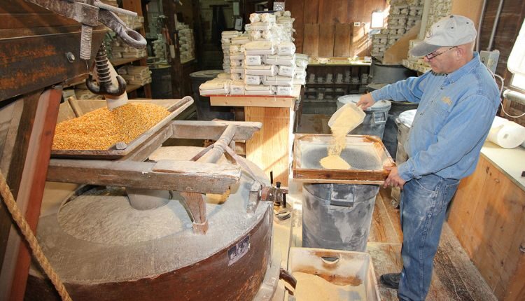 Grinding grains at Old Mill