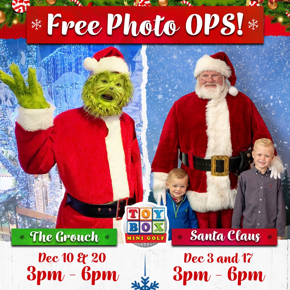Toy Box pictures with Santa and The Grouch