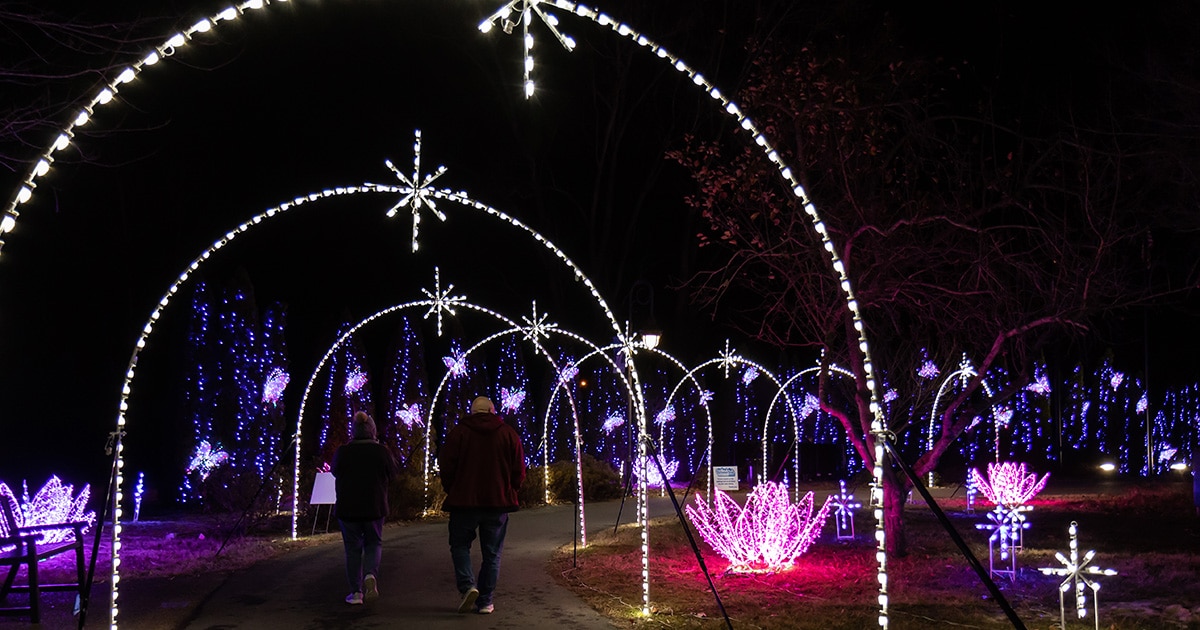 Winterfest Wonders of Light Walking Trail arches