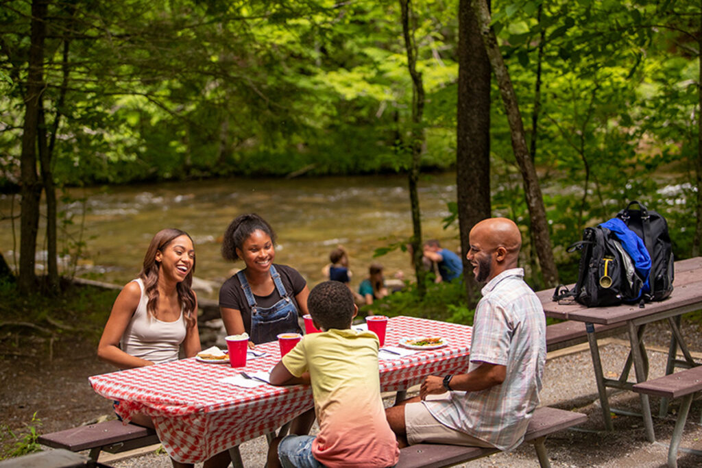 a family picnic alongside a stream in the smoky mountains