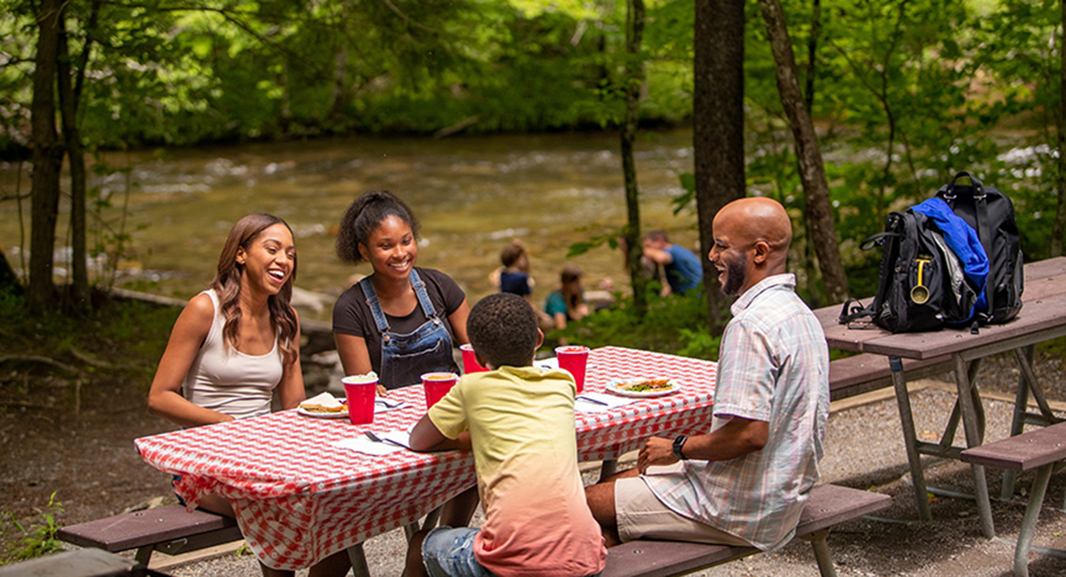 family enjoying a stream-side picnic in the smokies