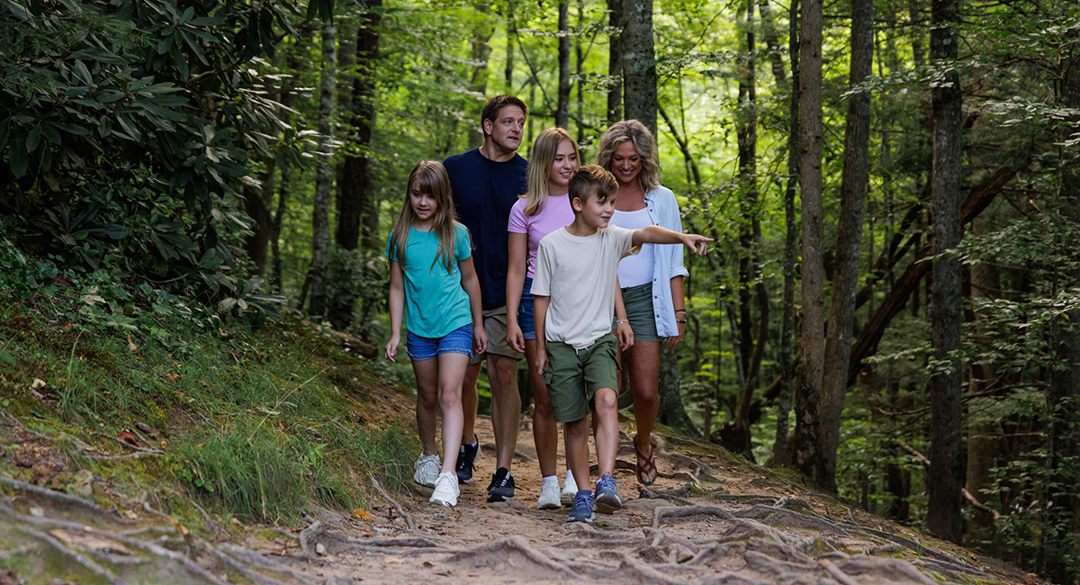 family exploring a hiking trail in the smoky mountains