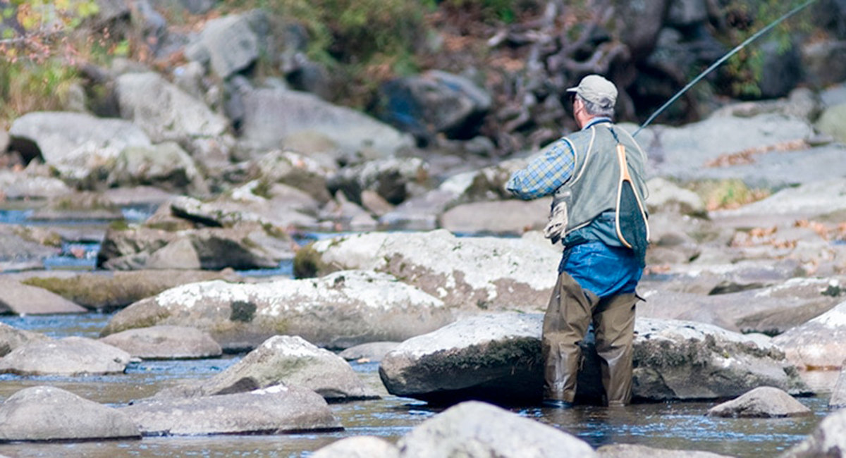 man fishing in a stream in the smoky mountains near pigeon forge tn