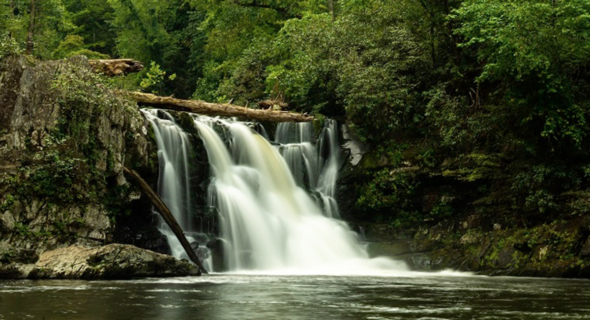 cascading waterfall in great smoky mountain national park