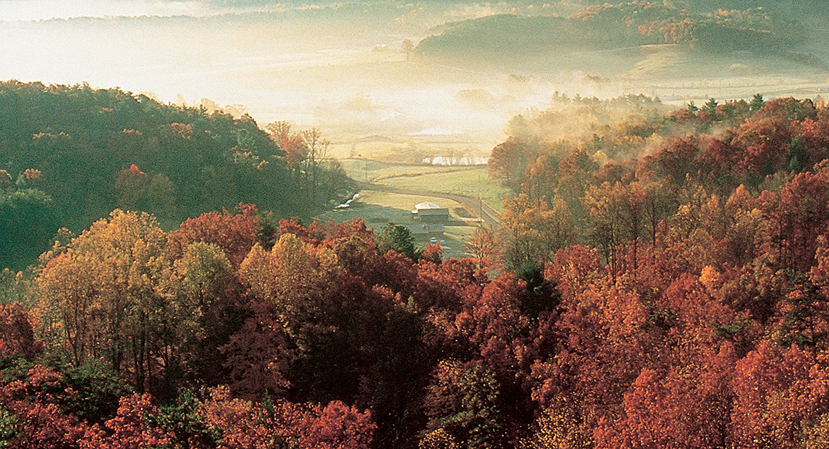 sweeping views of fall foliage in the smoky mountains