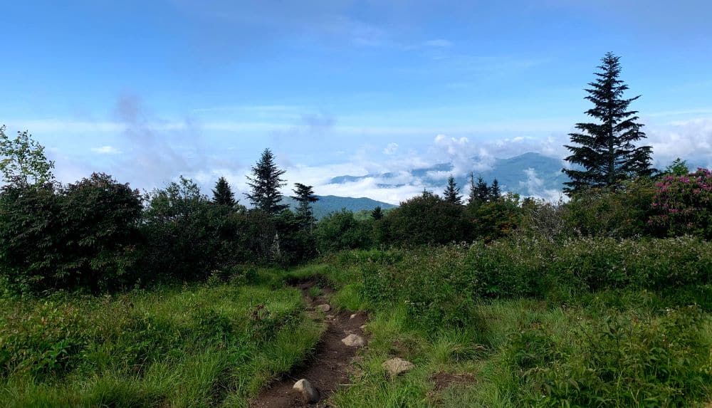 Andrew s Bald Trail Hiking Trail in Great Smoky Mountains National Park