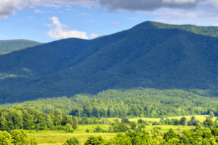 Spring in the Smoky Mountains