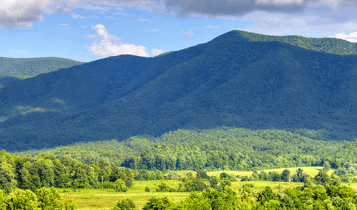 Spring in the Smoky Mountains