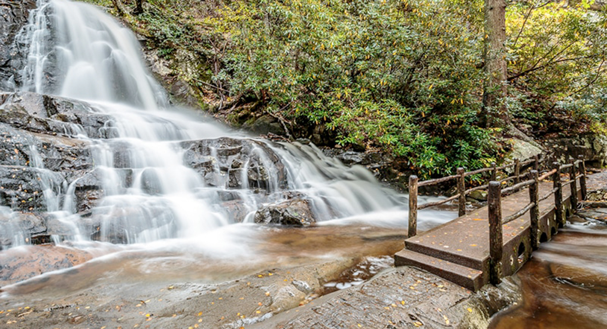 Explore Laurel Falls in the Smokies, a kid-friendly hiking trail with waterfall