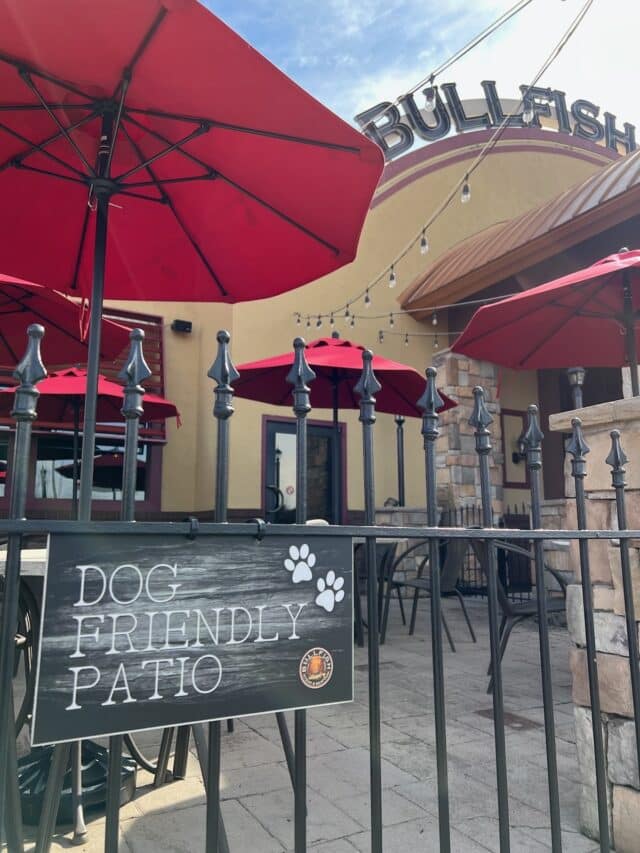 Dog friendly patios in Pigeon Forge