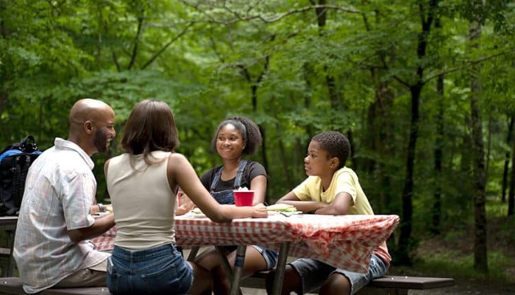 Family picnic during spring in Pigeon Forge