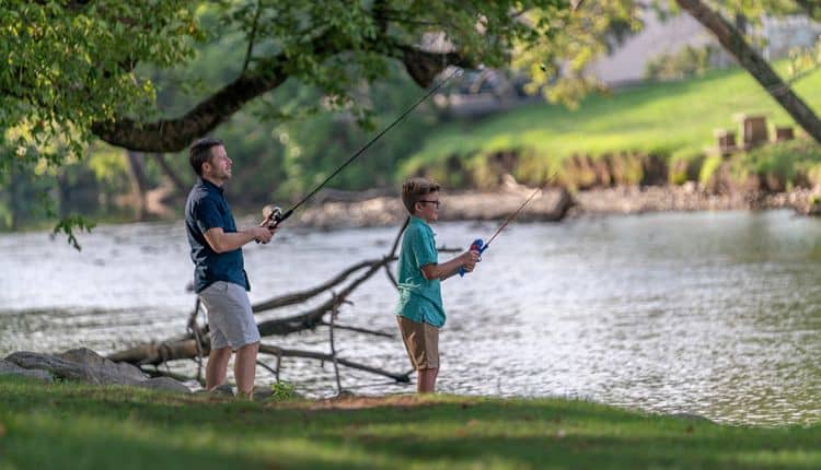 Cast a line in the Little Pigeon River. 