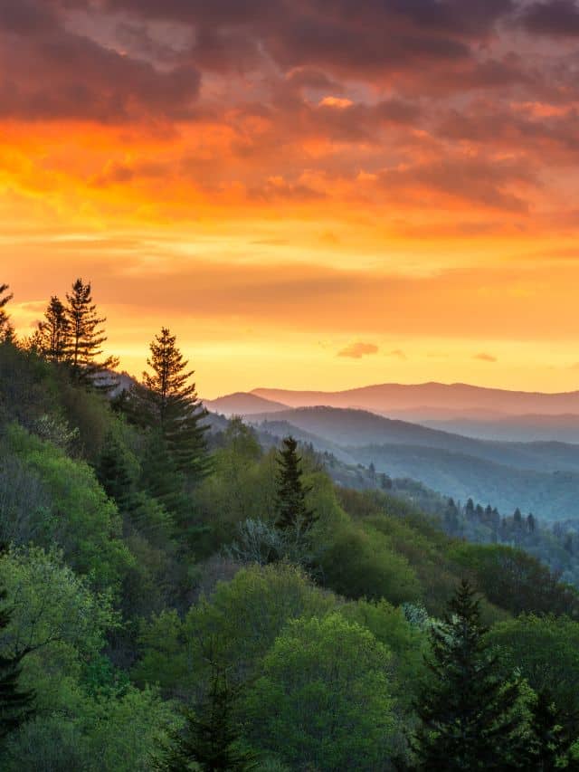 Great-Smoky-Mountains-Sunrise-poster