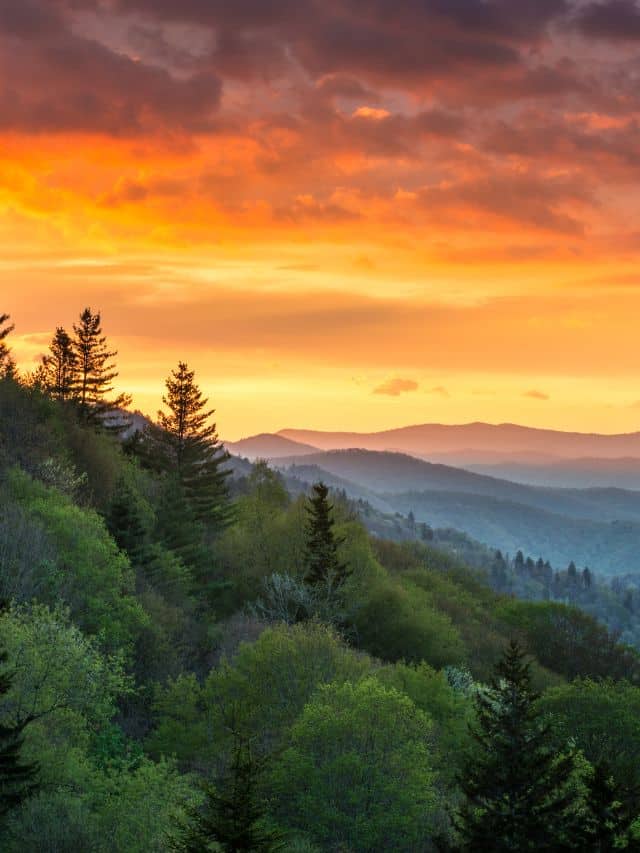 6 Scenic Overlooks in the Smoky Mountains to Visit This Summer