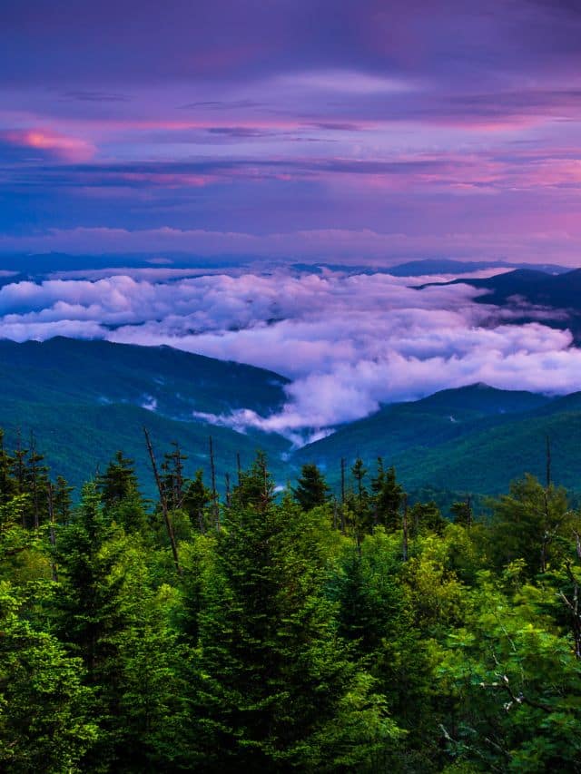 Best Things to Do in Great Smoky Mountains National Park