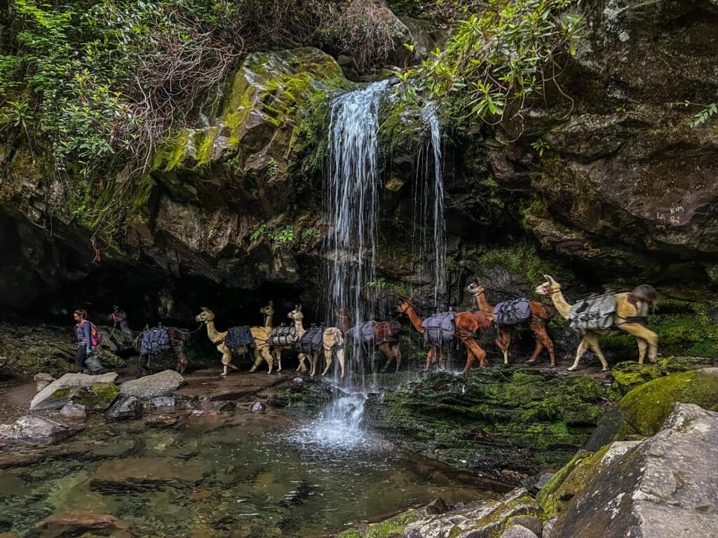 image of waterfall at Monte LeConte