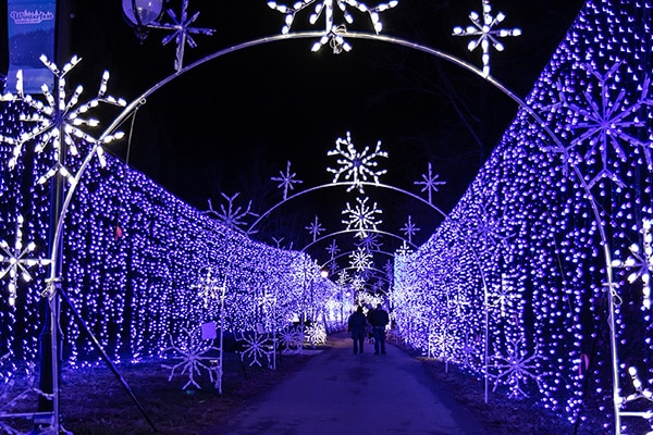 Winterfest Wonders of Light Walking Trail